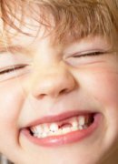 Коренные зубы во сколько растут у детей