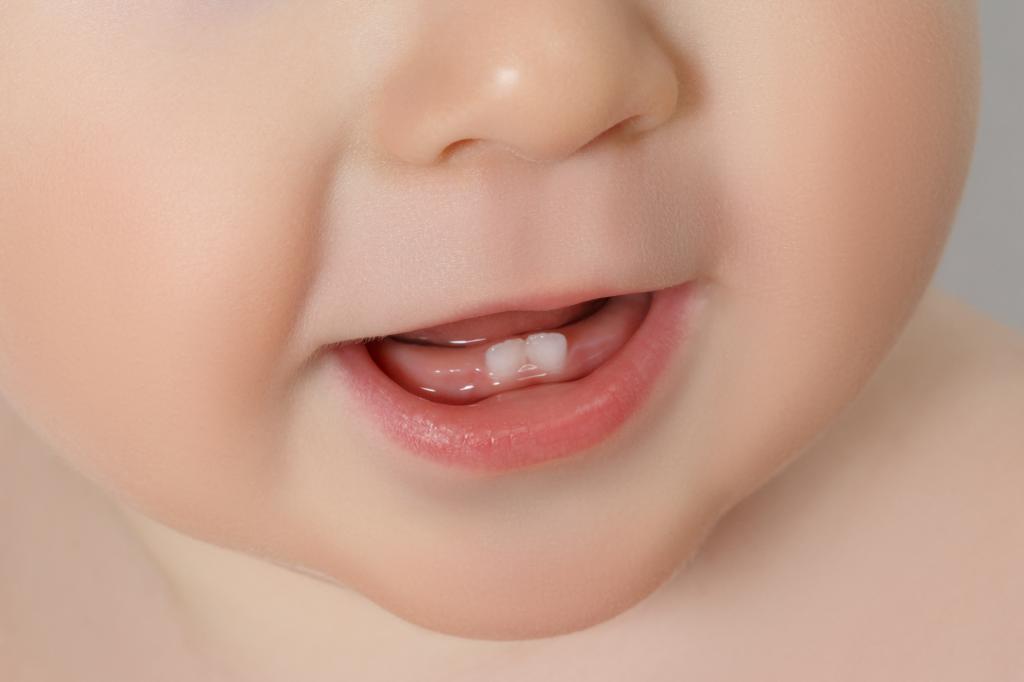 когда появляются первые зубы