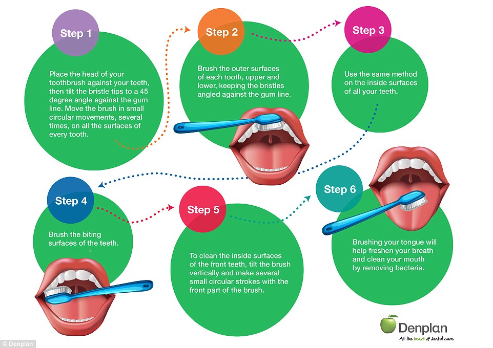 Denplan has created an infographic showing the best technique for toothbrushing, as many of us are unwittingly doing this wrong. It involves  angling the bristles at 45° towards the gum (top right, step 1) and brushing both sides of the teeth with small circular movements. The biting surface of the teeth (bottom left, step 4), the inside surfaces and the tongue (bottom right, step 6) should also be cleaned