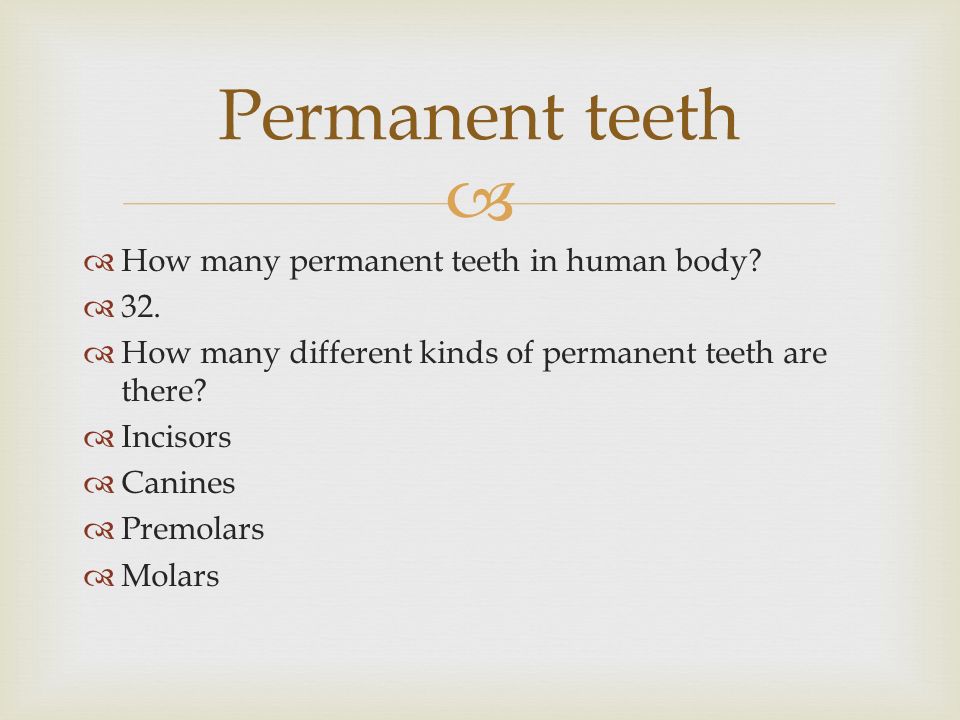   How many permanent teeth in human body.  32.