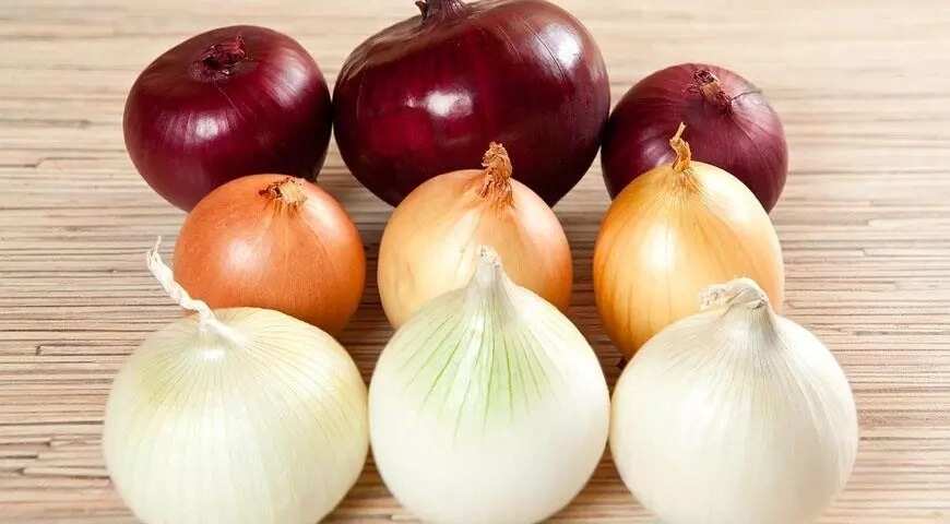 properties of onions