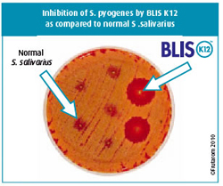 эффективные пробиотики Blis k12 от горла