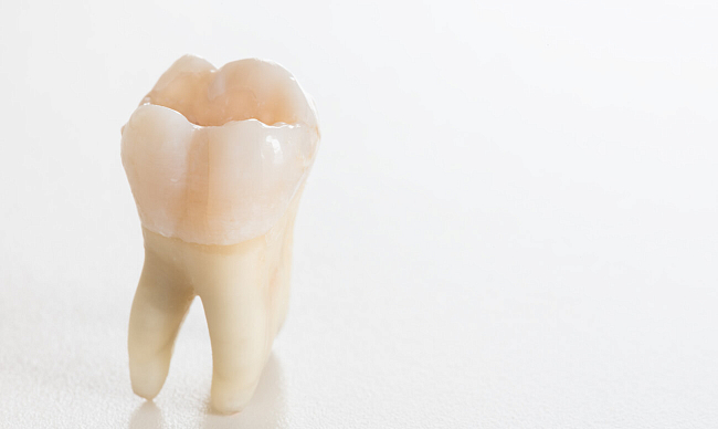 Размер зубов – норма и отклонение